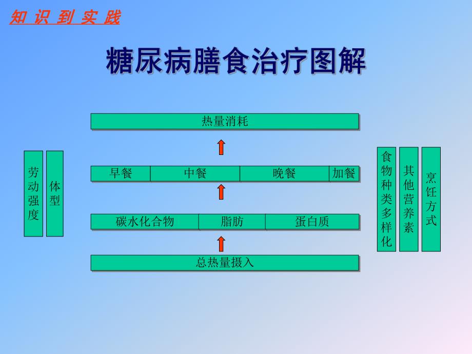 2型糖尿病的饮食治疗.ppt_第2页