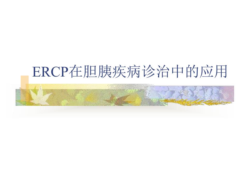 ERCP在胆胰疾病诊治中的应用.ppt.ppt_第1页