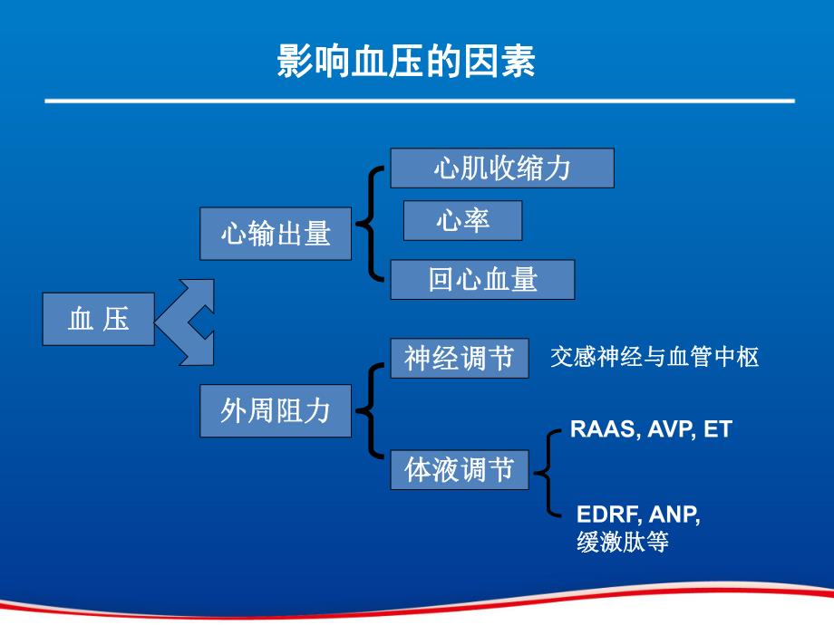 RAAS抑制剂的保护之旅.ppt_第3页