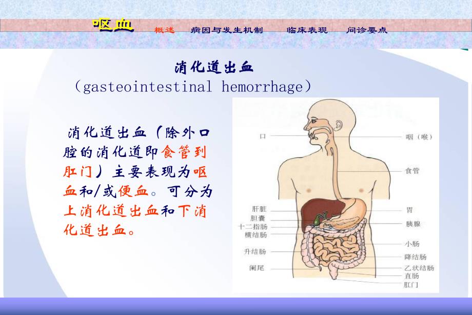 7.呕血便血.ppt_第2页