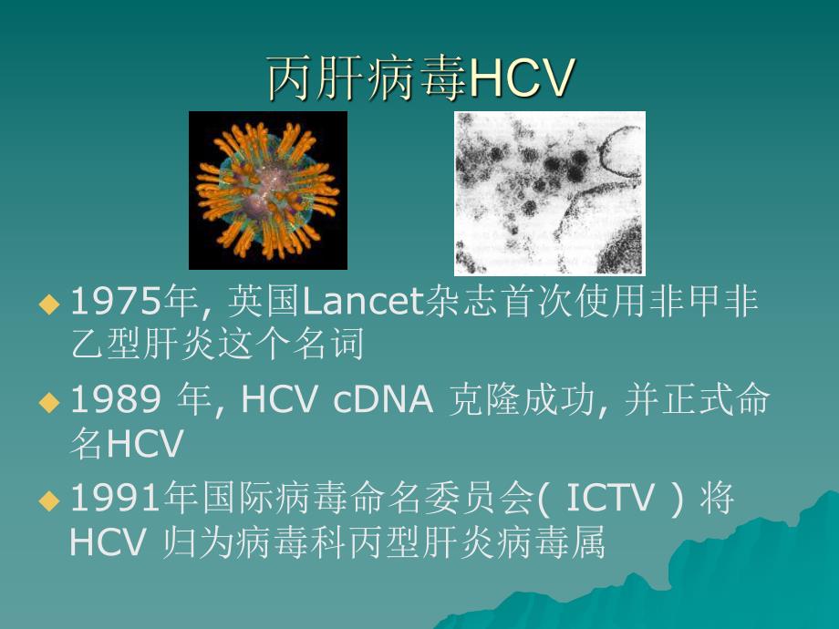 丙肝病毒分子分型方法.ppt_第2页