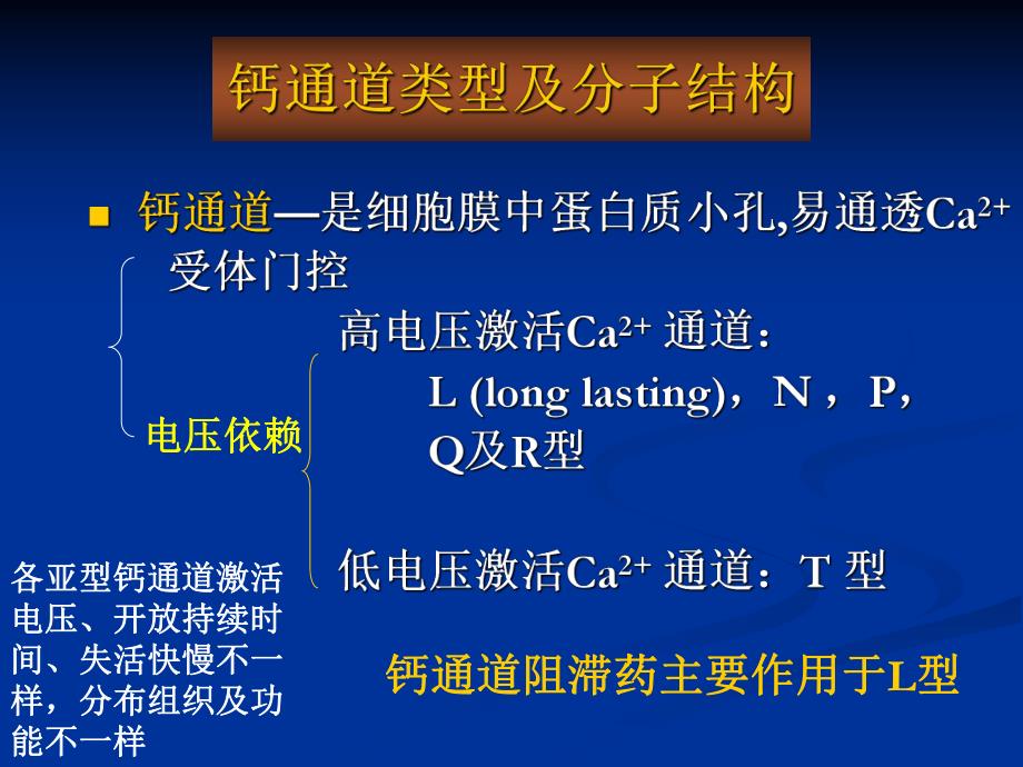 钙通道阻滞药.ppt_第3页