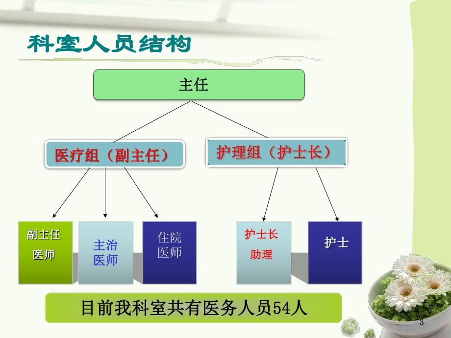 三级甲等医院高血压科室迎评工作汇报.ppt_第3页