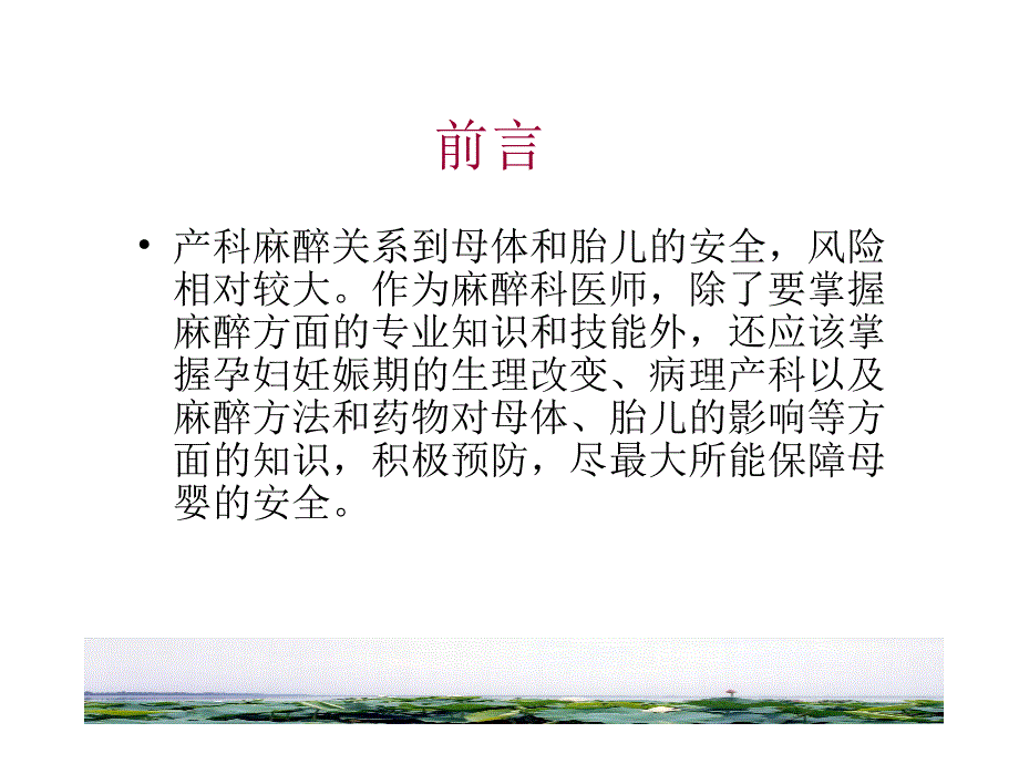 产科麻醉临床指南..ppt_第2页