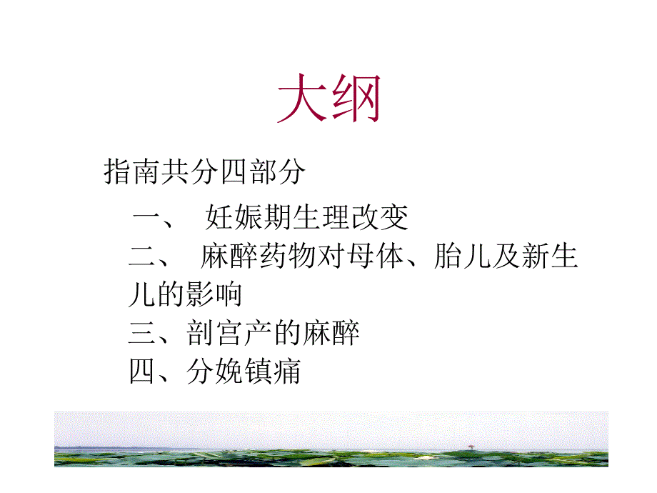 产科麻醉临床指南..ppt_第3页