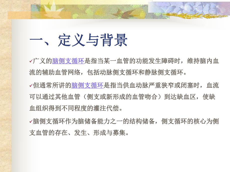 脑缺血侧枝循环治疗.ppt_第3页