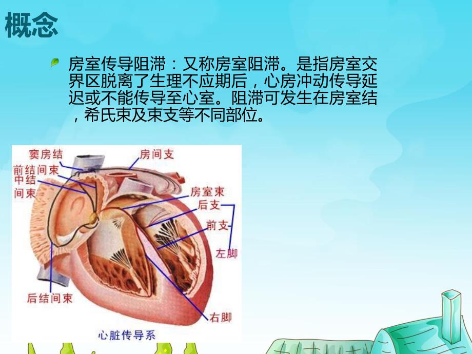 三度房室传导阻滞护理查房重改.ppt_第3页