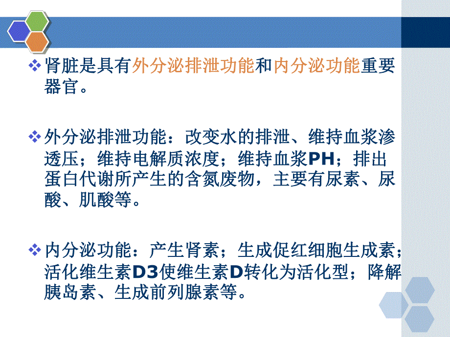 麻醉与肾脏.ppt_第3页