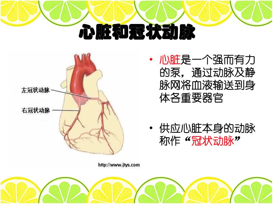 冠心病的运动.ppt_第2页