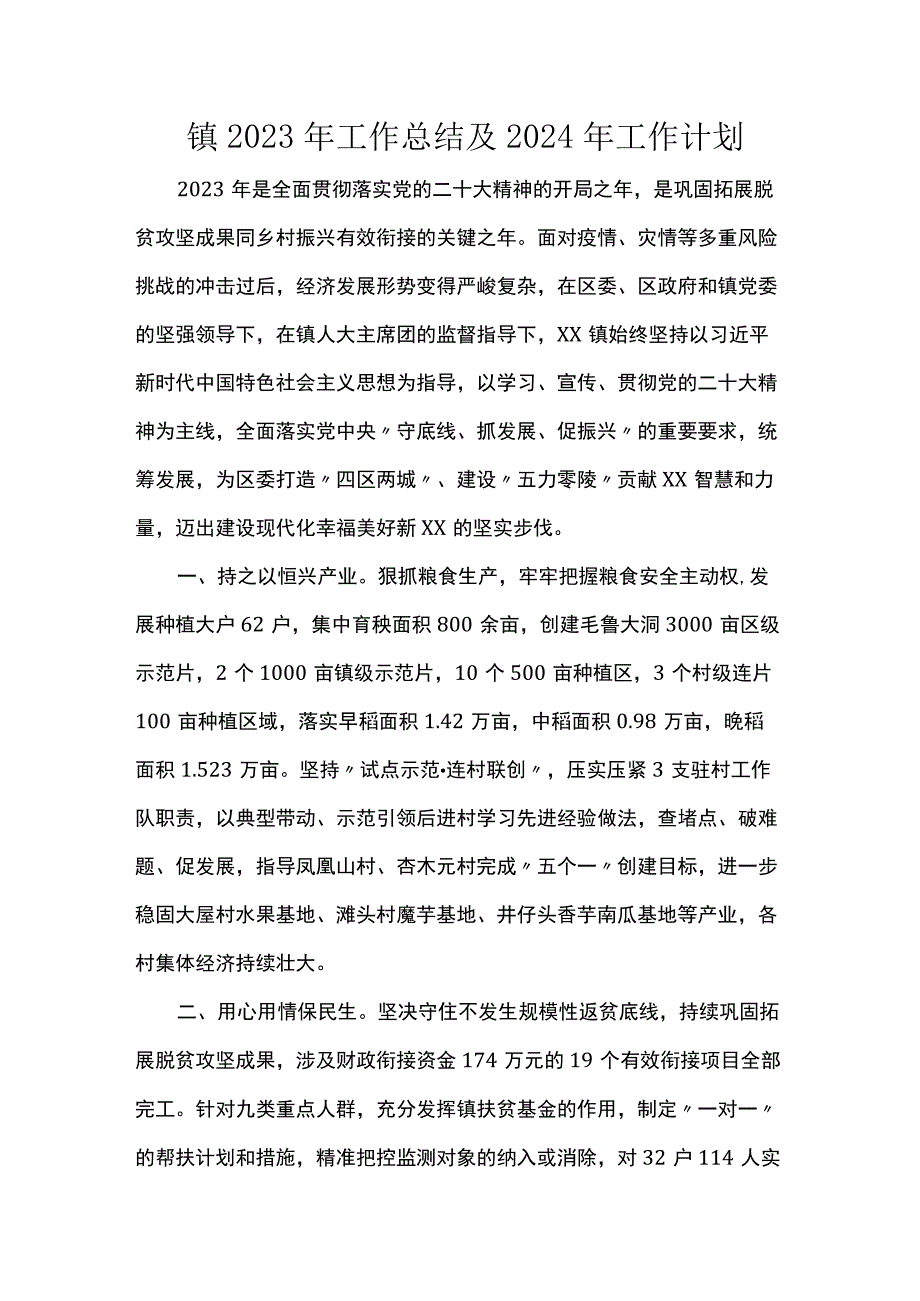 镇2023年工作总结及2024年工作计划.docx_第1页