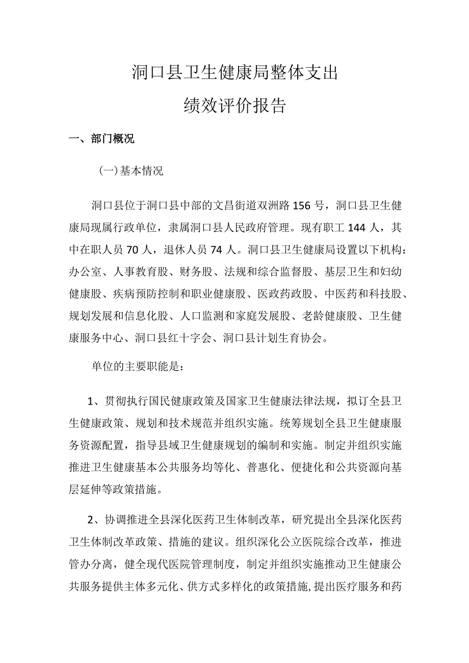 洞口县卫生健康局整体支出绩效评价报告.docx_第1页