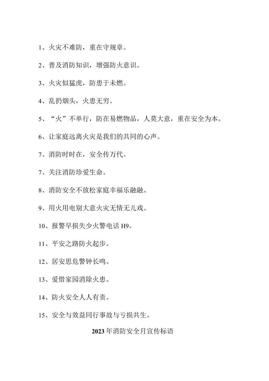 2023年民营企业消防安全月宣传标语汇编4份.docx_第2页