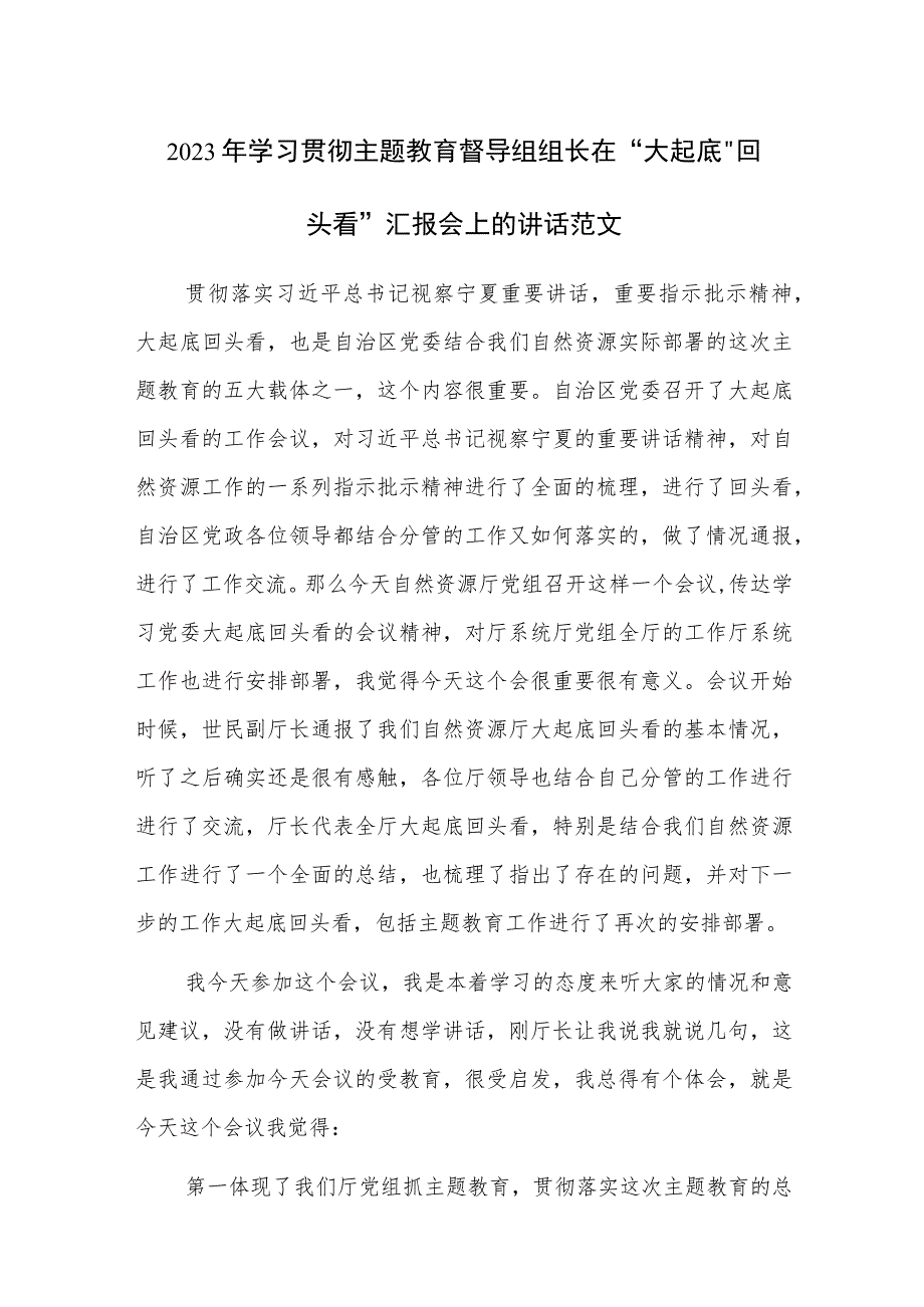 2023年学习贯彻主题教育督导组组长在“大起底”“回头看”汇报会上的讲话范文.docx_第1页