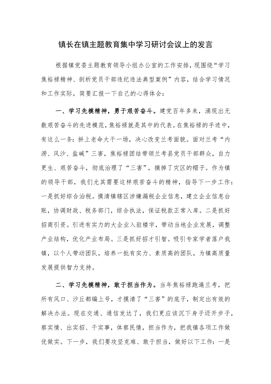 镇长在镇主题教育集中学习研讨会议上的发言范文.docx_第1页