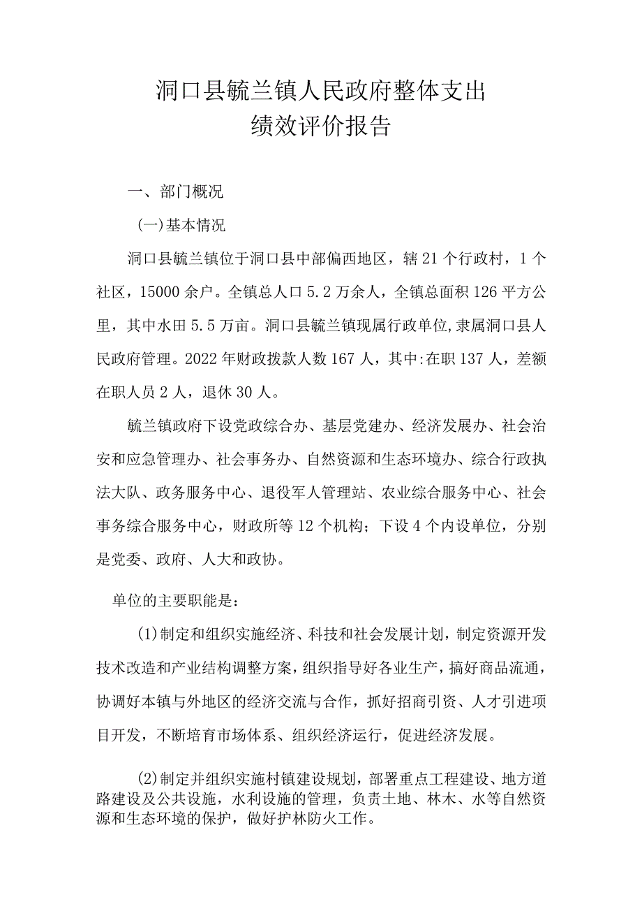 洞口县毓兰镇人民政府整体支出绩效评价报告.docx_第1页