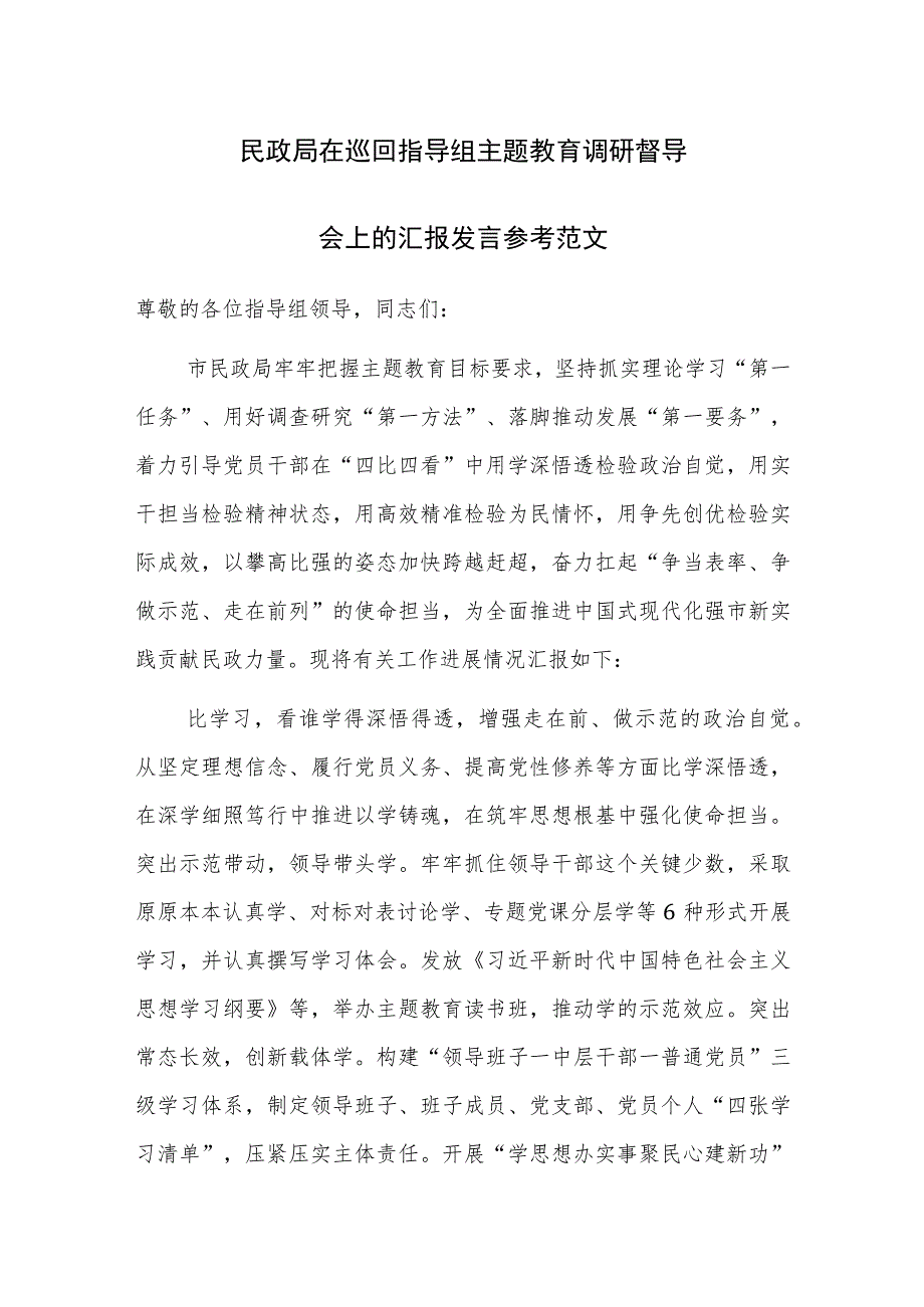 民政局在巡回指导组主题教育调研督导会上的汇报发言参考范文.docx_第1页