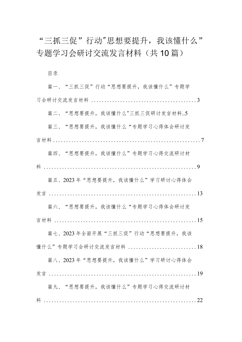 2023“三抓三促”行动“思想要提升我该懂什么”专题学习会研讨交流发言材料10篇(最新精选).docx_第1页