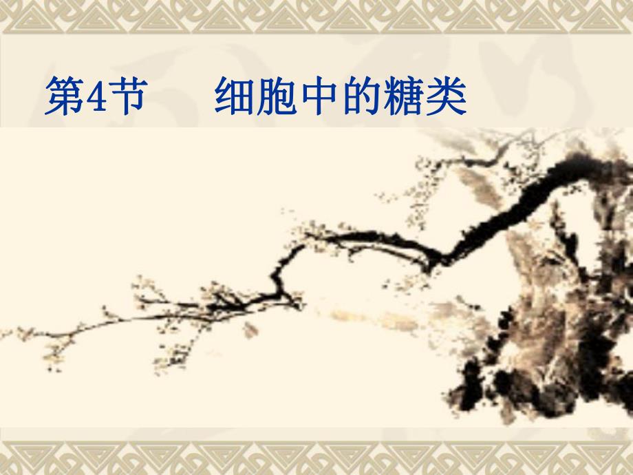 第4节细胞中的糖类名师编辑PPT课件.ppt_第1页