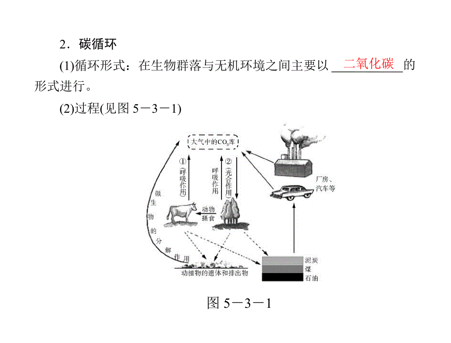 第5章生态系统及其稳定性第3节生态系统的物质循环.ppt_第2页