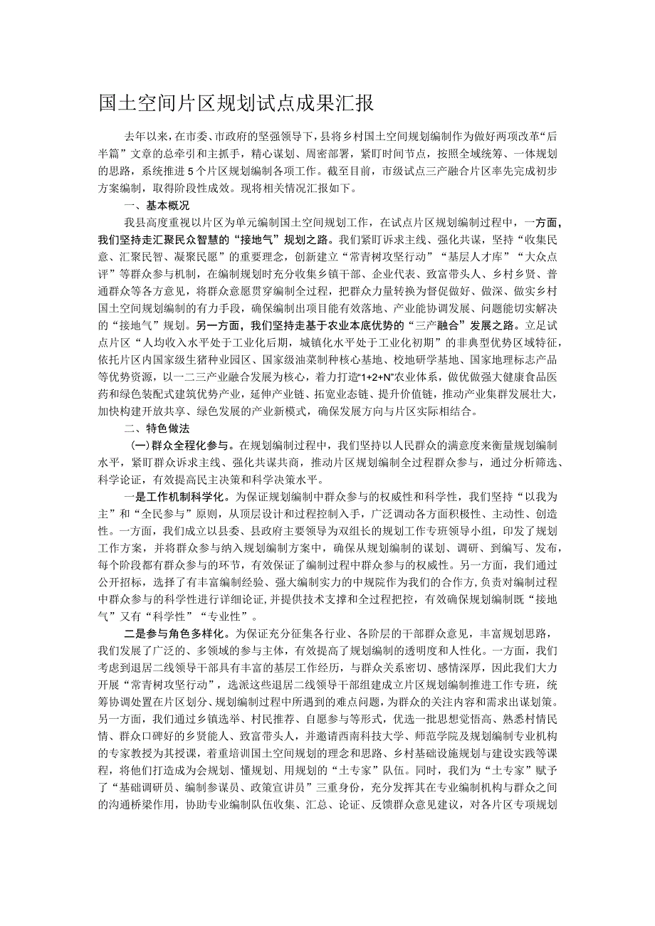 国土空间片区规划试点成果汇报.docx_第1页