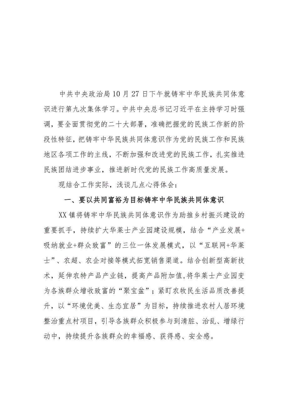 （6篇）2023学习“铸牢中华民族共同体意识推进新时代党的民族工作高质量发展”心得体会研讨发言.docx_第1页