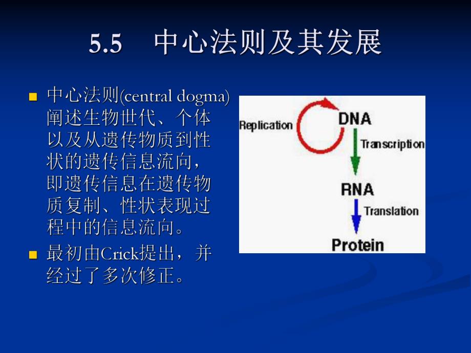 第5章分子水平上的基因功能中.ppt_第2页