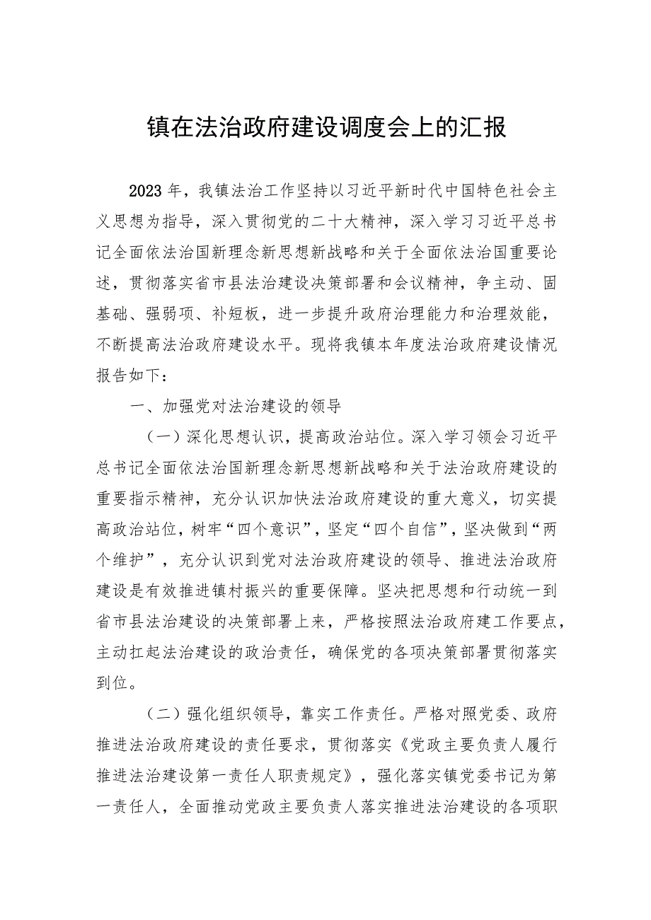 镇在法治政府建设调度会上的汇报.docx_第1页