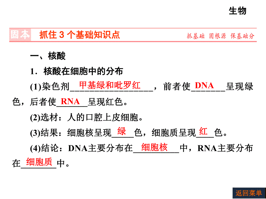 第4讲核酸、糖类和脂质.ppt_第2页