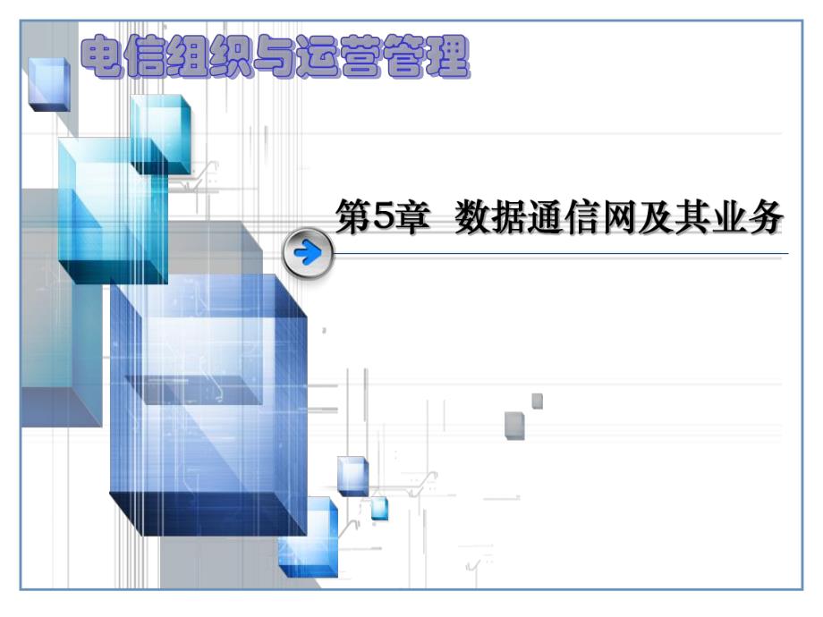 第5章数据通信网及其业务.ppt_第1页