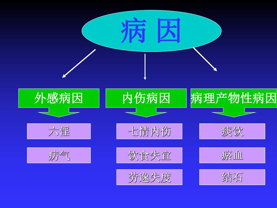 第5章、病因病机中医护理学名师编辑PPT课件.ppt_第3页