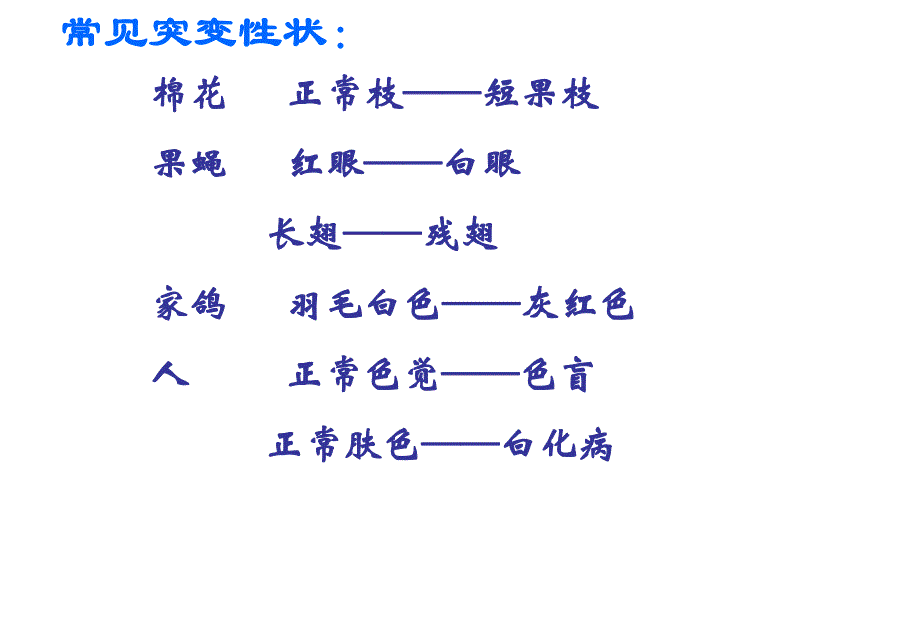 第5章第1节基因突变.ppt_第2页