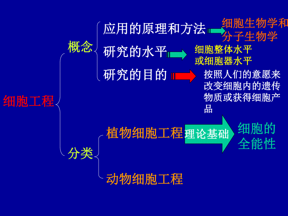 第5章植物细胞制药一.ppt_第3页