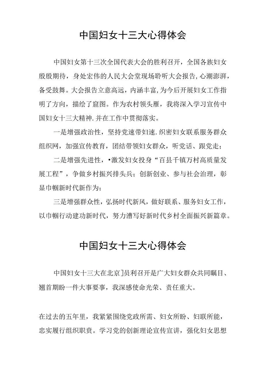 妇女干部学习中国妇女第十三次全国代表大会精神的心得体会十七篇.docx_第3页