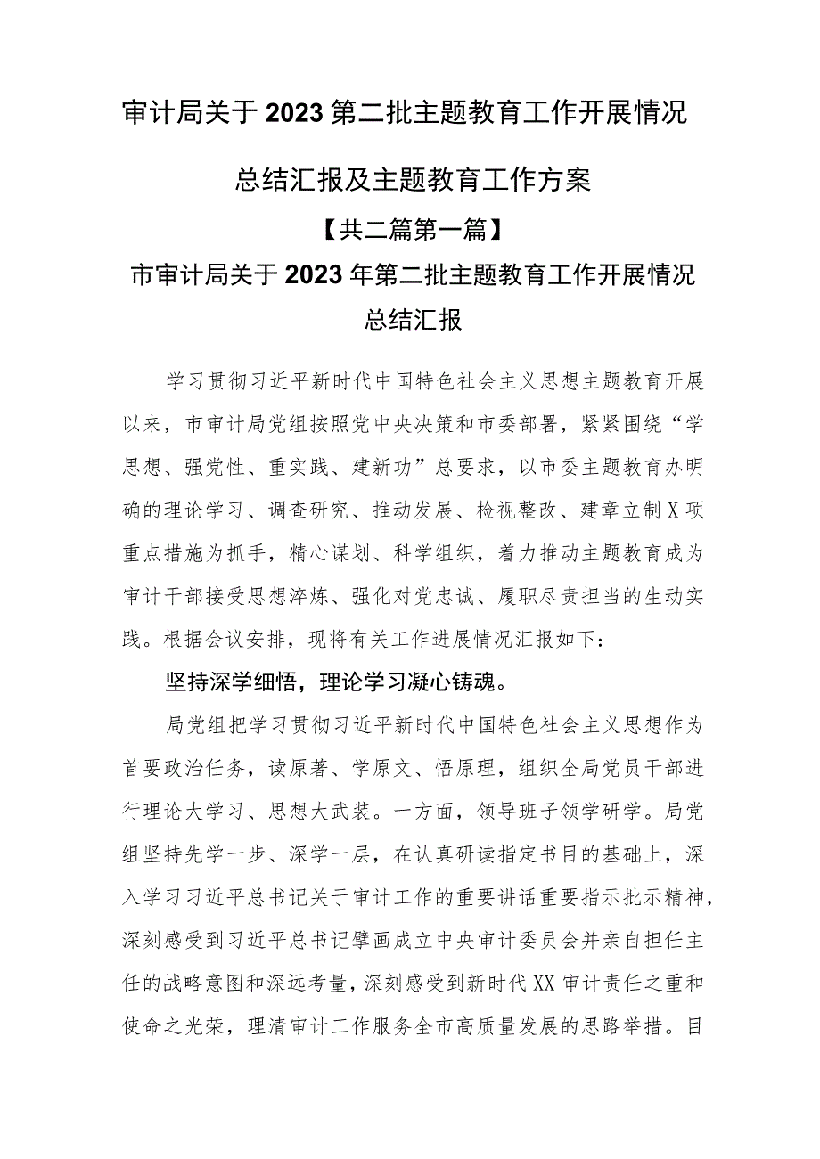 （2篇）审计局关于2023第二批主题教育工作开展情况总结汇报及主题教育工作方案.docx_第1页