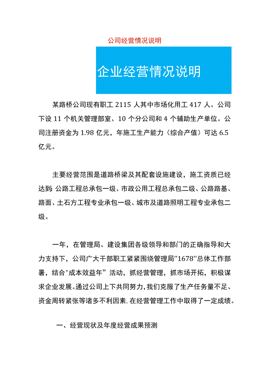 公司经营情况说明.docx_第1页