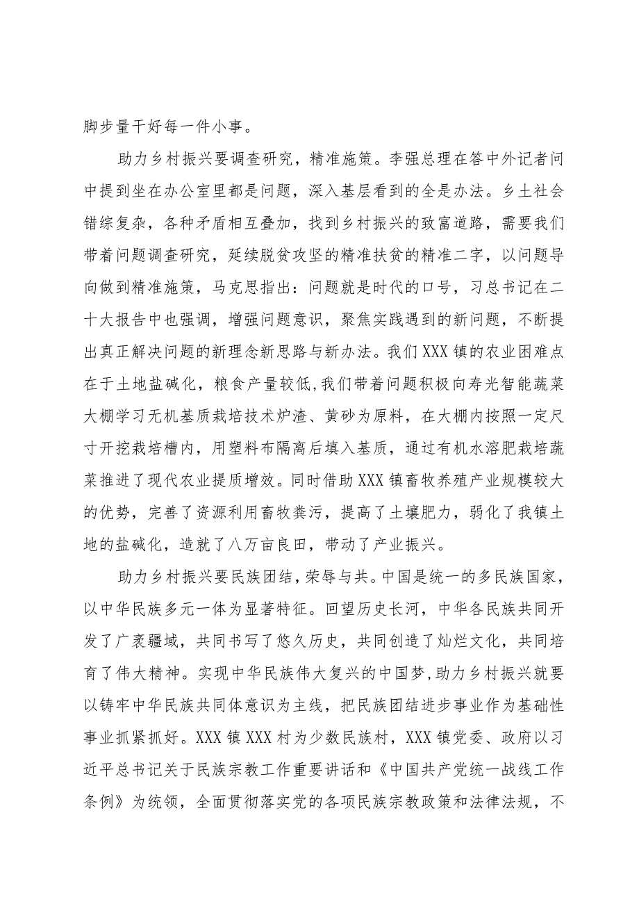 以微薄之力助力乡村振兴.docx_第2页