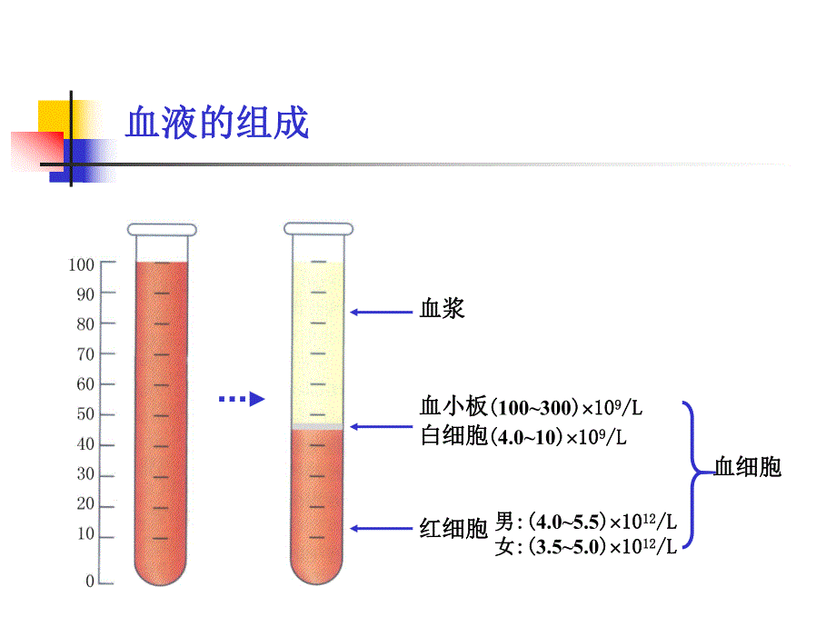 第5章血液和淋巴.ppt_第3页