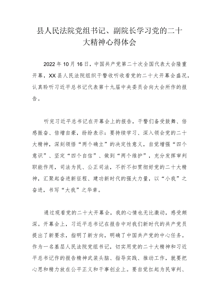 县人民法院党组书记、副院长学习党的二十大精神心得体会.docx_第1页