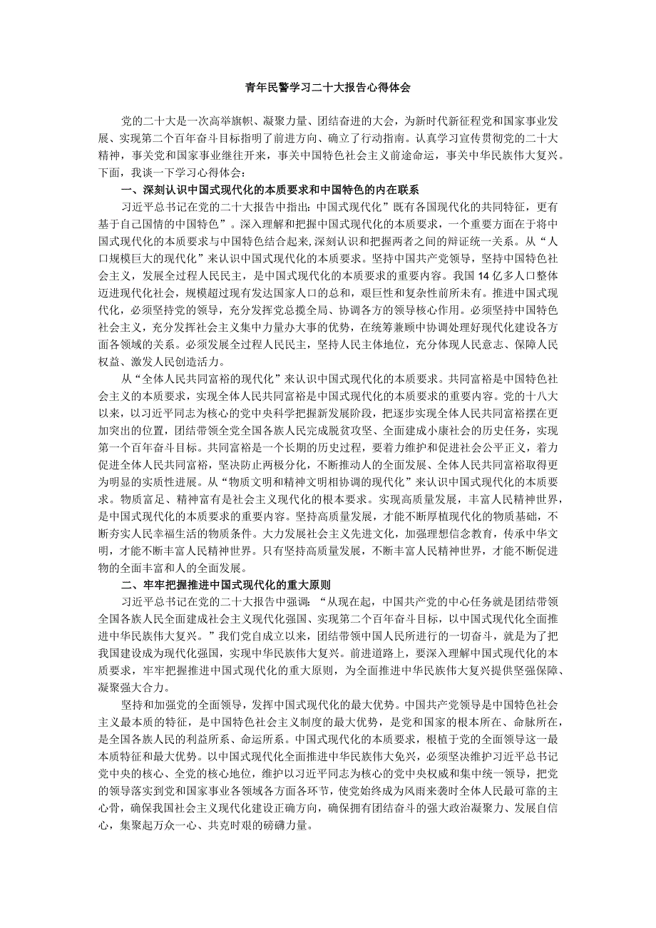 青年民警学习二十大报告心得体会.docx_第1页