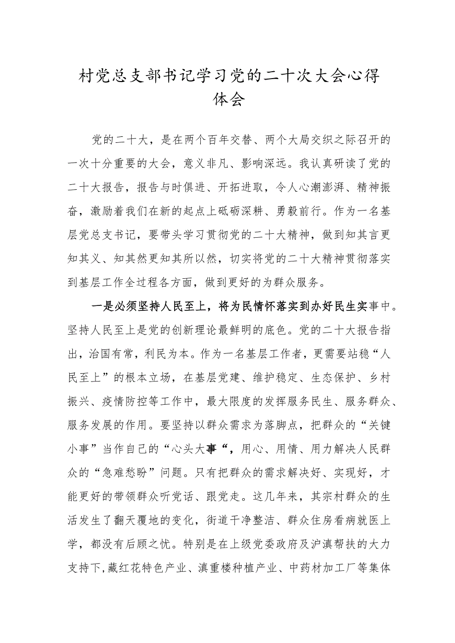 村党总支部书记学习党的二十次大会心得体会.docx_第1页