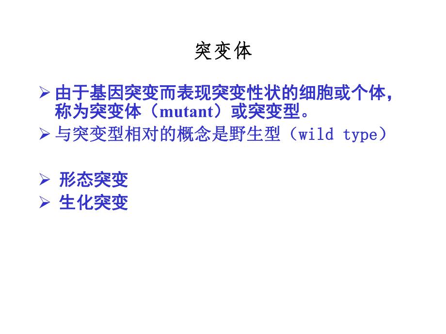 第7章基因突变.ppt_第3页