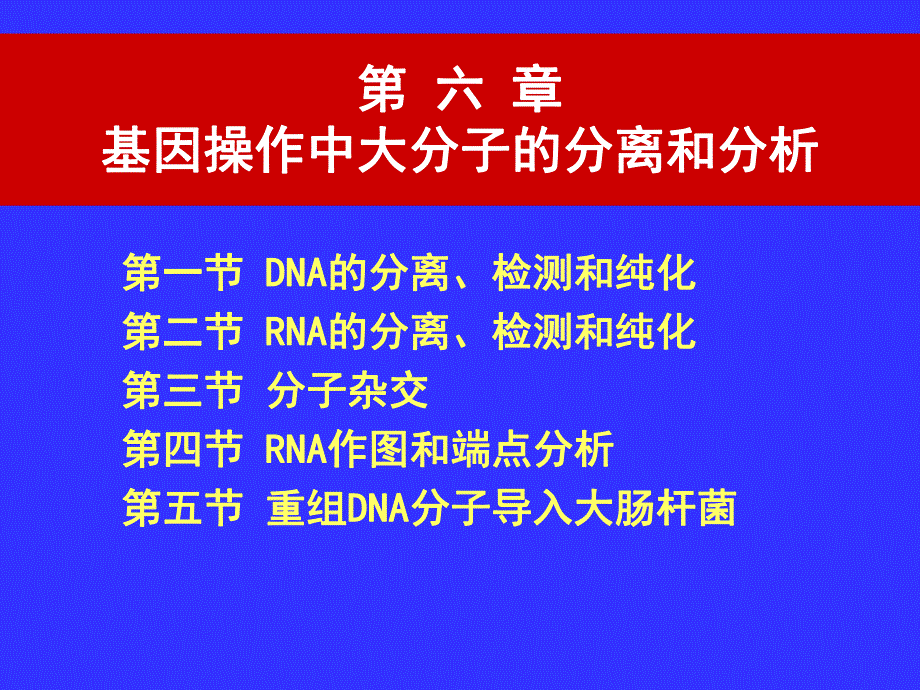 第6章基因操作中大分子的分离和分析.ppt_第1页