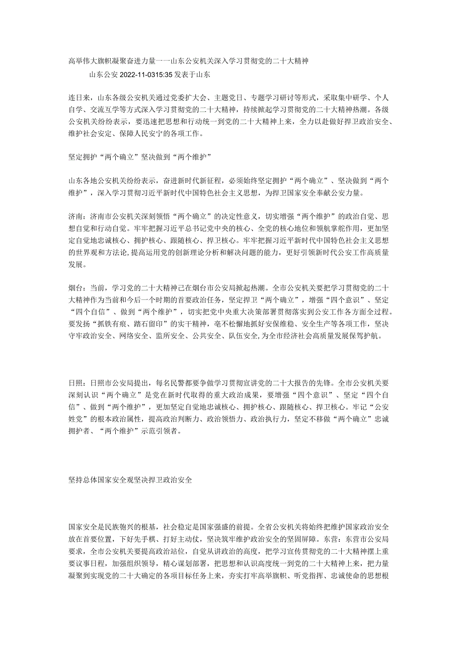 高举伟大旗帜 凝聚奋进力量——山东公安机关深入学习贯彻党的二十大精神.docx_第1页