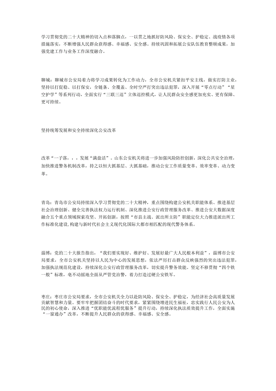 高举伟大旗帜 凝聚奋进力量——山东公安机关深入学习贯彻党的二十大精神.docx_第3页