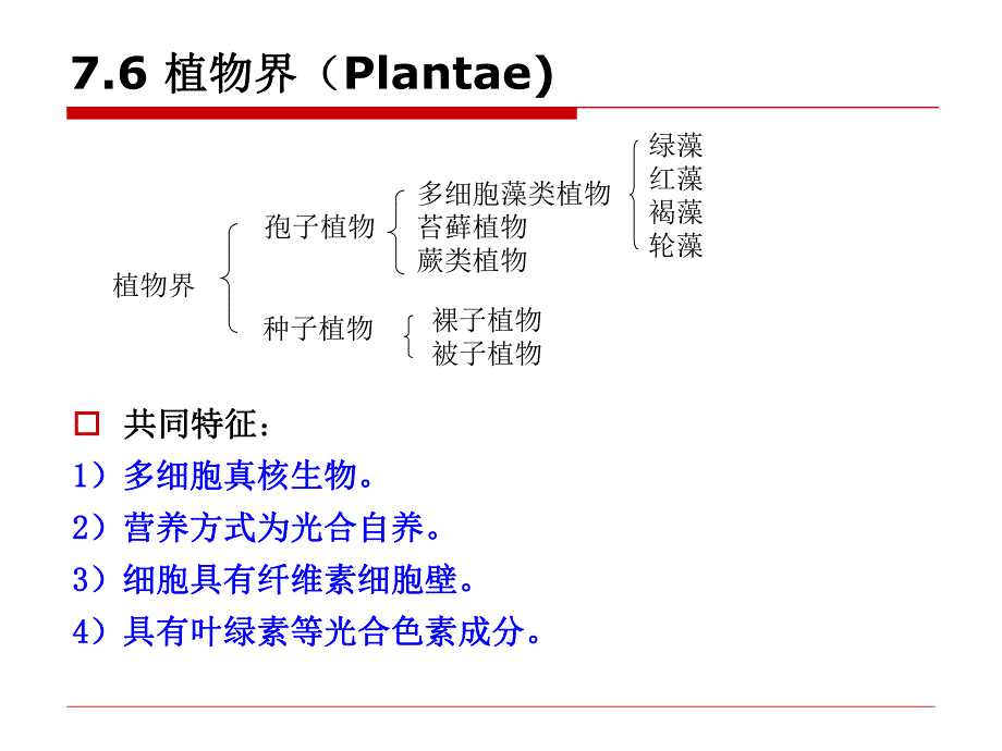 第7章76植物界.ppt_第2页