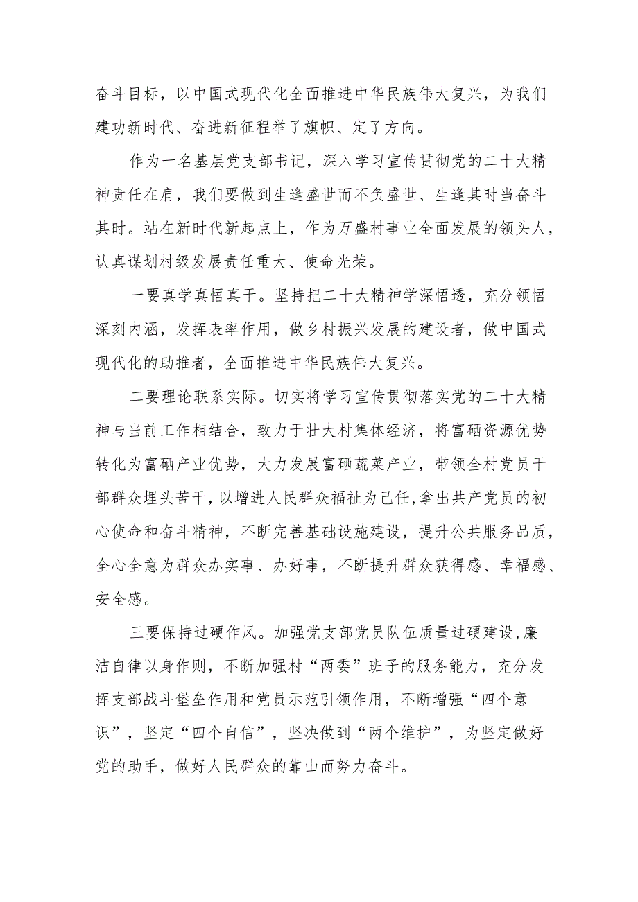 村支部书记党的二十大精神学习心得体会5篇.docx_第3页