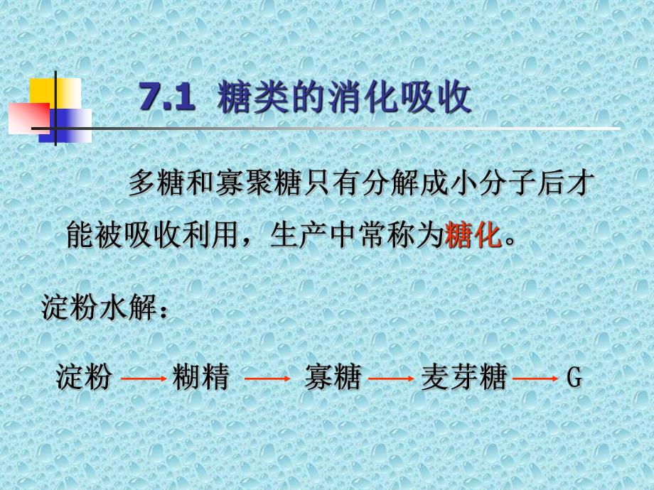 第7章糖类代谢.ppt_第3页