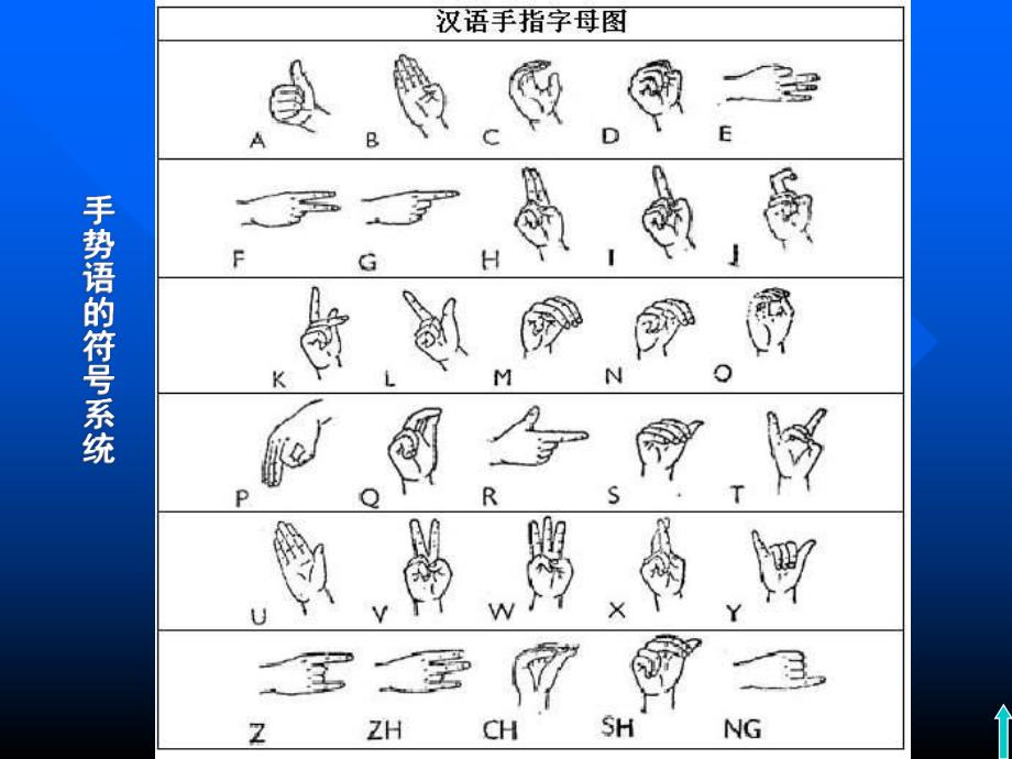 第6章小学生的言语发展.ppt_第3页