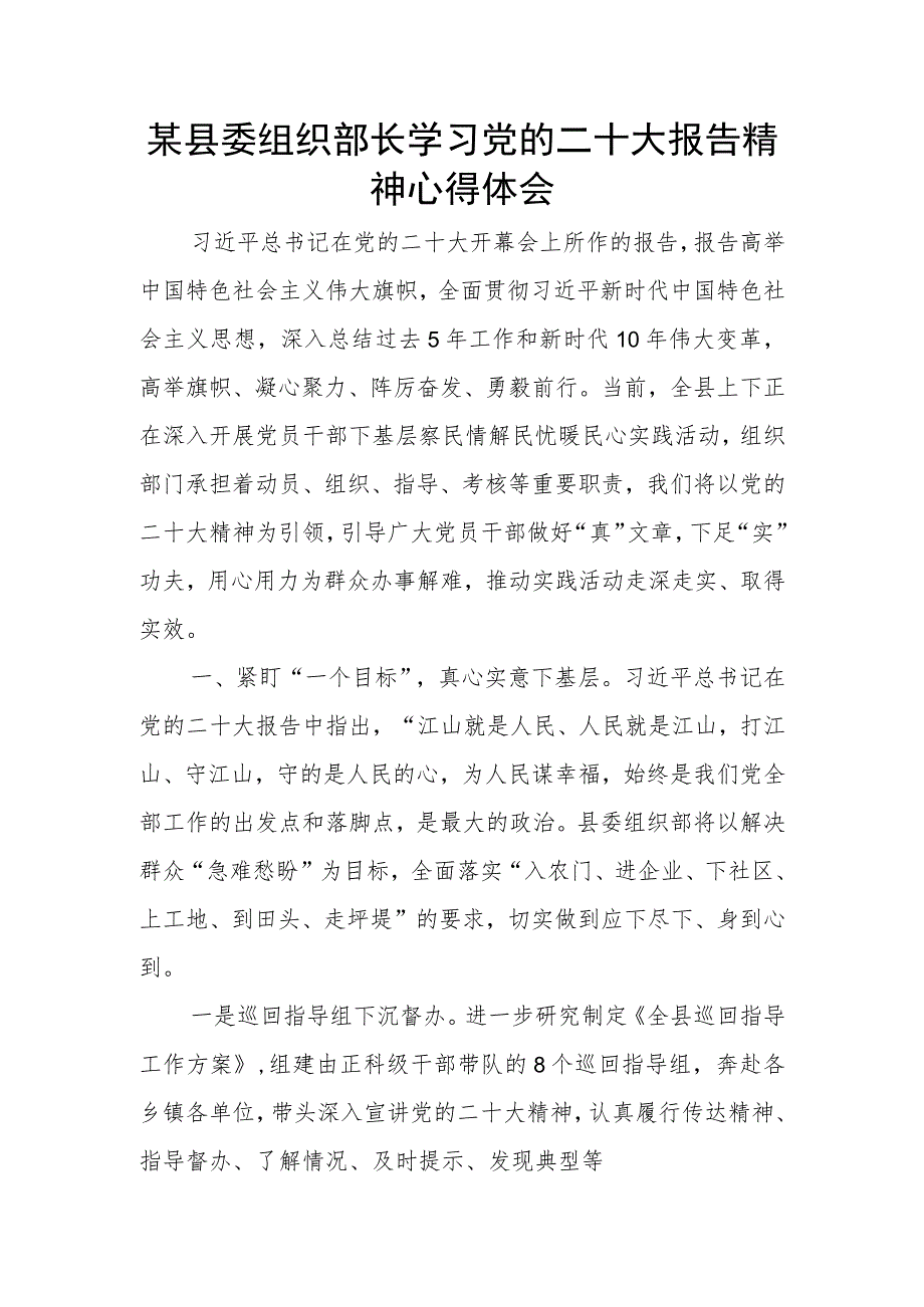 某县委组织部长学习党的二十大报告精神心得体会.docx_第1页