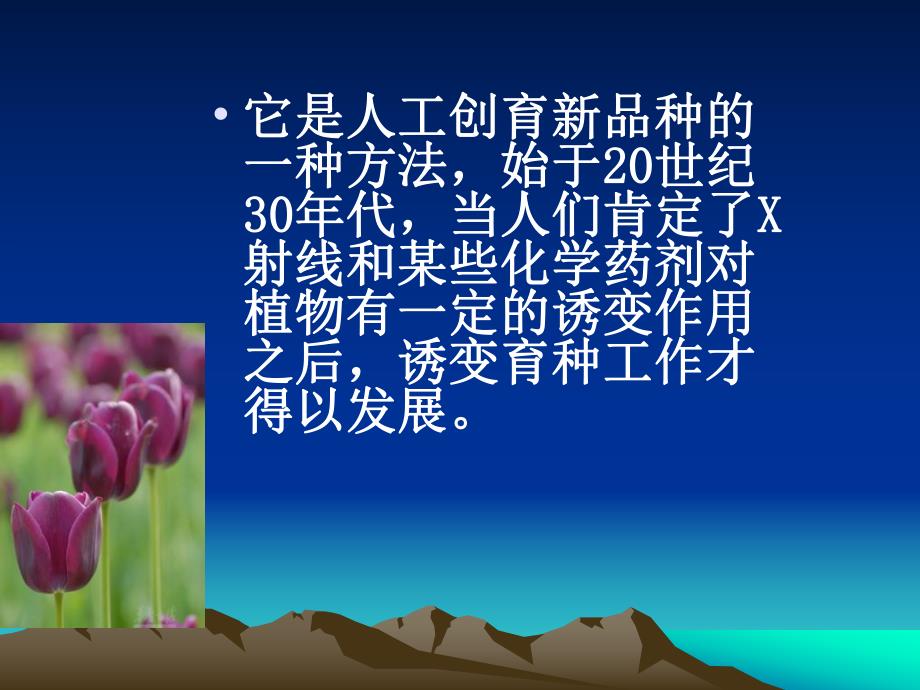 第8章 诱变育种.ppt_第2页